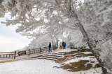 Photos Chine : paysage de givre au Jiangsu