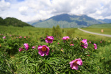 Photos Chine : paysage de Kanas au Xinjiang