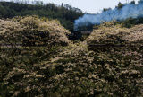 Photos Chine : train  vapeur au Sichuan