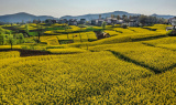 Photos Chine : arrive du printemps au Shaanxi