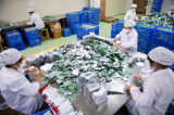 Photos Chine : production de m�dicaments au Hunan