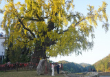 Photos Chine : paysage forestier au Jiangxi