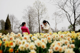 Photos Chine : jardin botanique  Shanghai