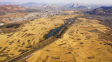 Photos Chine : r�colte du riz au Hebei