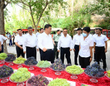 Photos Chine : tourne d'inspection de Xi Jinping au Xinjiang