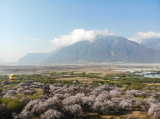 Photos Chine : paysage printanier  Nyingchi au Tibet