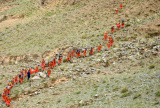 Photos Chine : le bilan s'alourdit  21 morts aprs un marathon de montagne dans le nord-ouest