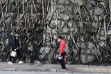 Photos (COVID-19) Chine : signalement de cas  Hong Kong