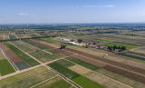 Photos Chine : rcolte de lgumes dans le Ningxia