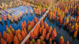 Photos Chine : vue d'une zone humide du Yunnan