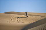 Photos Chine : plantation de salix en Mongolie intrieure