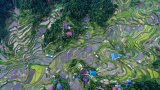 Photos Chine : champs en terrasses au Guangxi