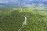 Photos Chine : oliennes dans un parc forestier au Heilongjiang