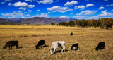 Photos Chine : l'automne au Tibet