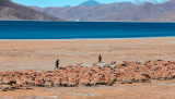 Photos : Paysage du lac Yamdrok au Tibet