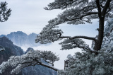 Photos Chine : paysage de givre sur le mont Huangshan