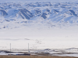 Photos Chine : pturage d'hiver au Xinjiang