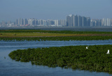 Photos Chine : oiseaux migrateurs au Fujian