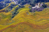 Photos Chine : champs en terrasses  Longsheng au Guangxi