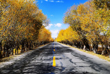 Photos : Paysage routier au Tibet