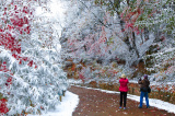 Photos Chine : paysage de neige  Dandong au Liaoning