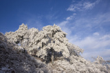 Photos : Paysage enneig de la montagne de Huoshan