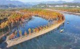 Photos Chine : paysage d'un parc de zones humides dans l'Anhui