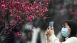 Photos Chine : fleurs de cerisier au Guangxi