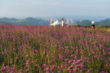 Photos Chine : tourisme rural  Longli