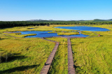 Photos Chine : paysage de la ferme forestire de Saihanba