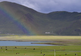 Photos Chine : lac Yamzho Yumco au Tibet