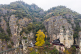 Photos Chine : un ginkgo vieux de plus de 700 ans au Zhejiang