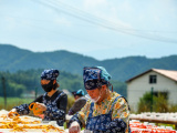 Photos Chine : activits agricoles au Jiangxi