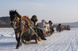 Photos Chine : traneaux tirs par des chevaux  Mohe