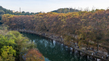 Photos Chine : paysage d'automne d'un parc de zones humides dans le sud-ouest