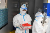 Photos Chine : laboratoire de tests d'acide nuclique temporaire  Nankin