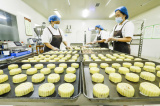 Photos Chine : production de g�teaux de lune � Tangshan