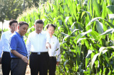 Photos : Xi Jinping inspecte la province du Jilin