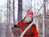 Photos : Des ouvriers forestiers pendant l'hiver glacial