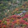 Photos Chine : paysage automnal  Pkin